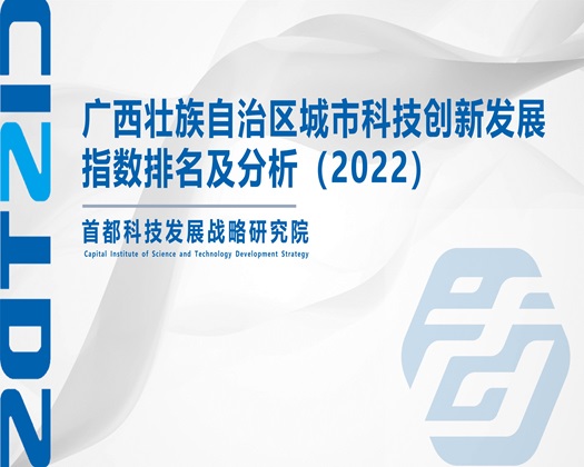 菊花啪啪视频【成果发布】广西壮族自治区城市科技创新发展指数排名及分析（2022）